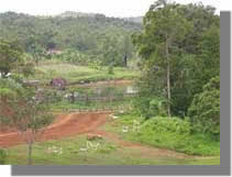 View Of School Grounds